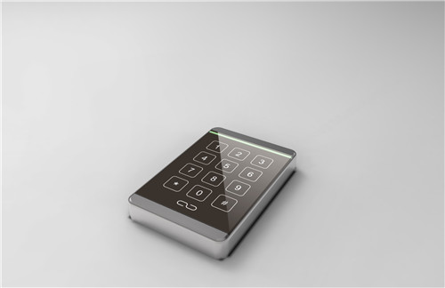 首开国风海岸 人脸识别技术